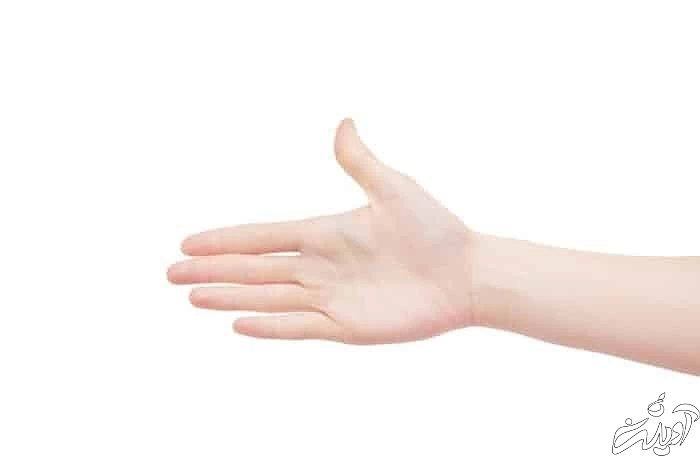 شخصیت شناسی